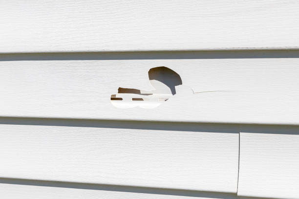 Best Siding Removal and Disposal  in Shell Valley, ND